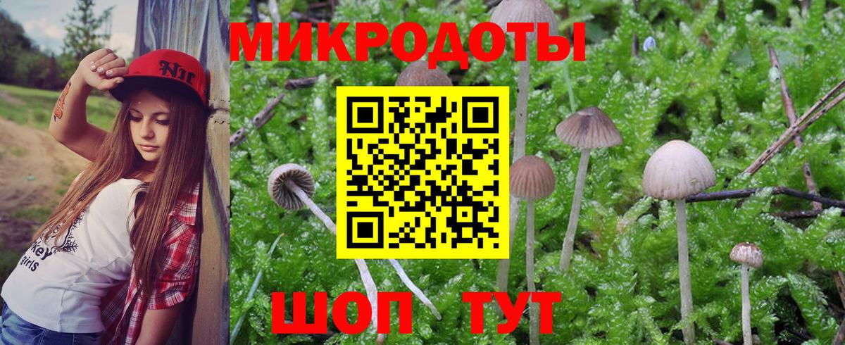 Псилоцибиновые грибы прущие грибы Ливны